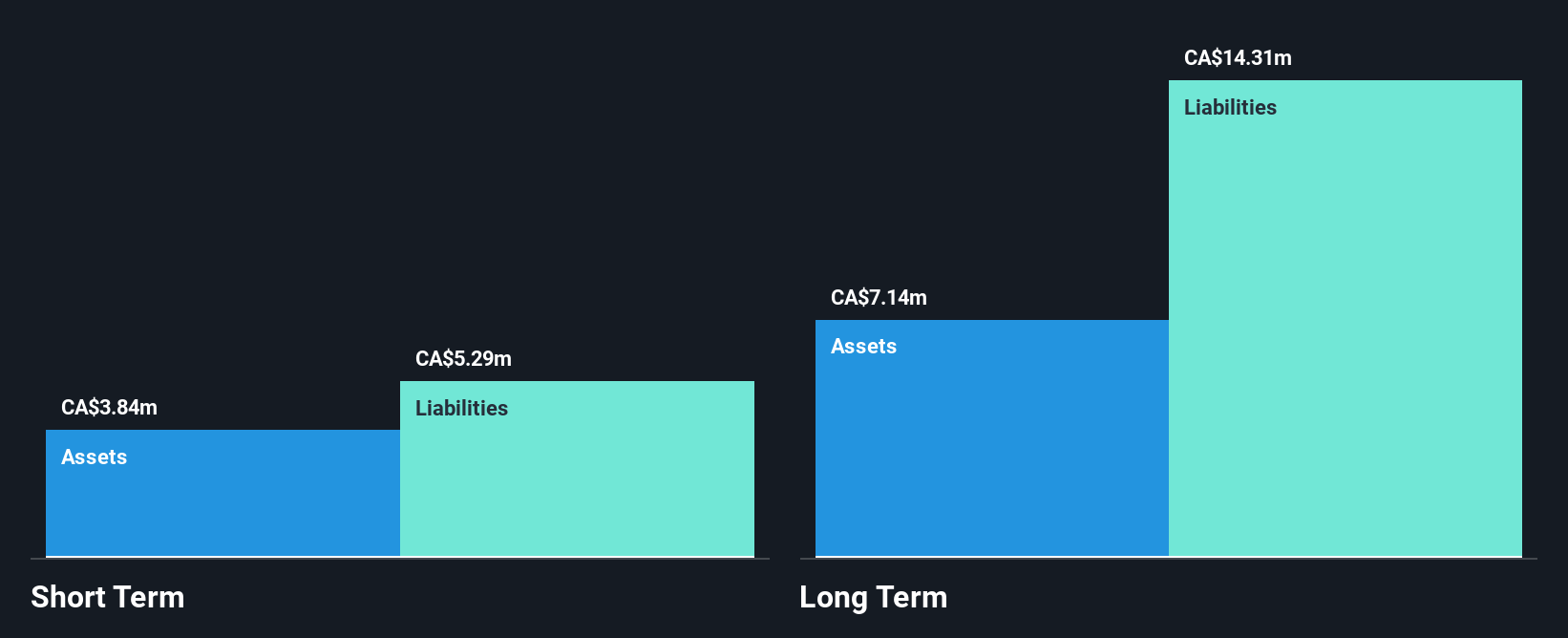 TSXV:NIM Financial Position Analysis as at Dec 2024