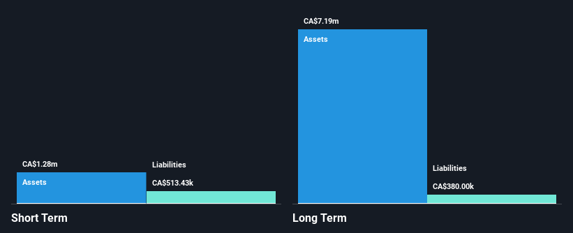 TSXV:TRO Financial Position Analysis as at Oct 2025