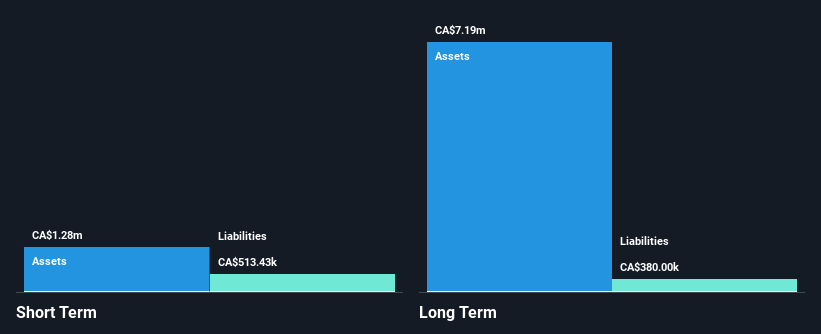 TSXV:TRO Financial Position Analysis as at Oct 2024